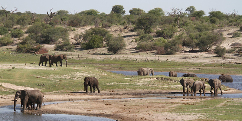 Breakfast time in the Elephants for Africa camp! (Makgadikgadi Pans, Botswana, 2022)